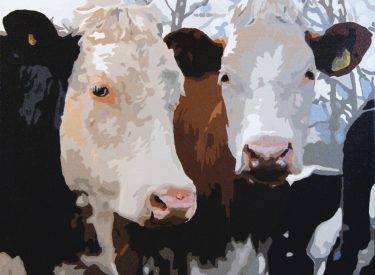 VACA-10