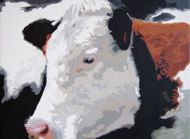 VACA-11