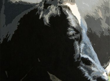 VACA-14