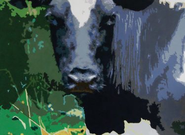 VACA-15-scaled