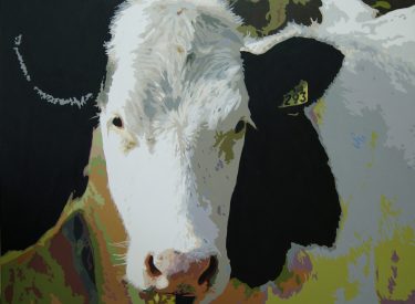 VACA-17