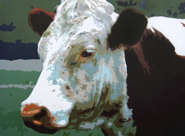 VACA-19