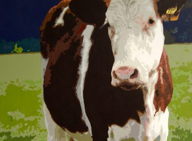 VACA-2-scaled