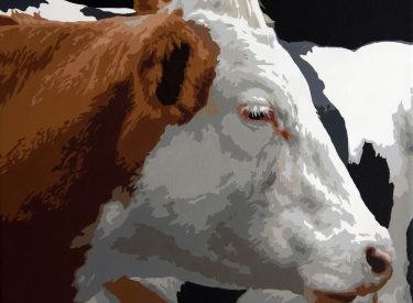 VACA-20