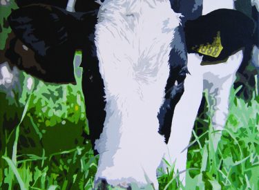 VACA-3