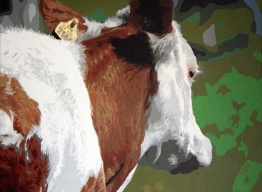 VACA-4