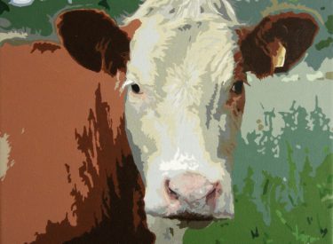 VACA-5