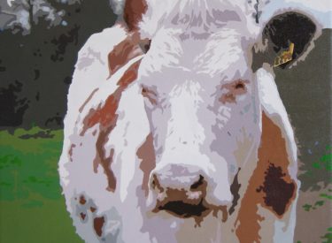 VACA-6