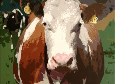 VACA-7