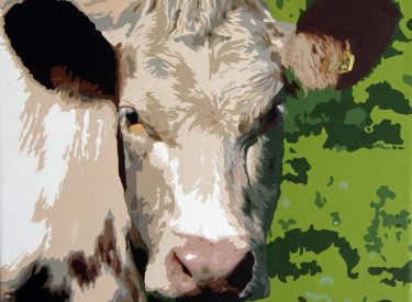 VACA-8