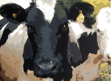 VACA-9