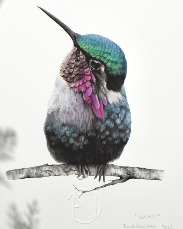 Colibri