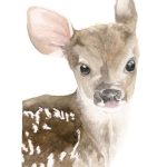 Bambi