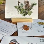 Calendario 2027 · Flora y Fauna Nativa de Chile