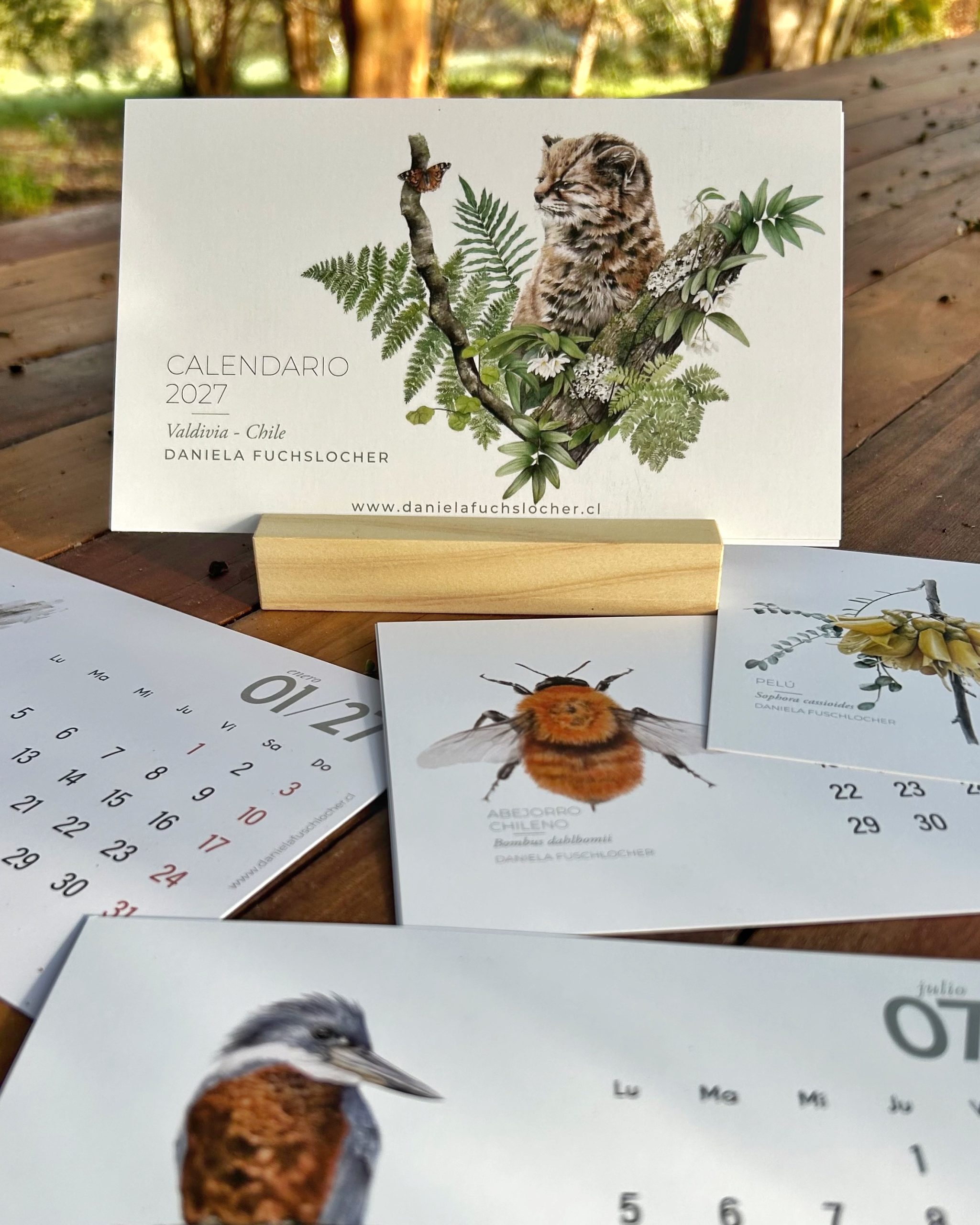 IMG_2871 Calendario 2027 · Flora y Fauna Nativa de Chile - Imagen 1