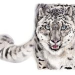 Leopardo de las nieves