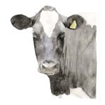 Vaca 3