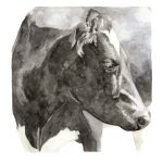 Vaca 5
