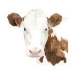 Vaca 6