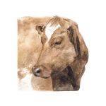 Vaca 7