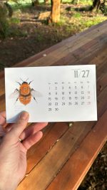 Calendario 2027 · Flora y Fauna Nativa de Chile - Imagen 3