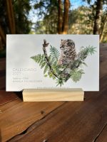 Calendario 2027 · Flora y Fauna Nativa de Chile - Imagen 2