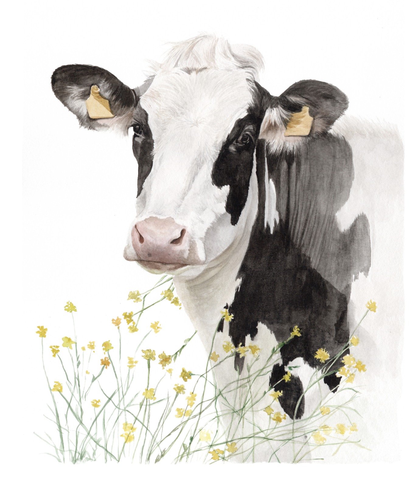 WhatsApp Image 2026-08-17 at 09.40.14 (3) Holstein flores - Imagen 1