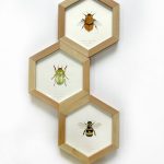 Set de 3 cuadros hexagonales en madera nativa