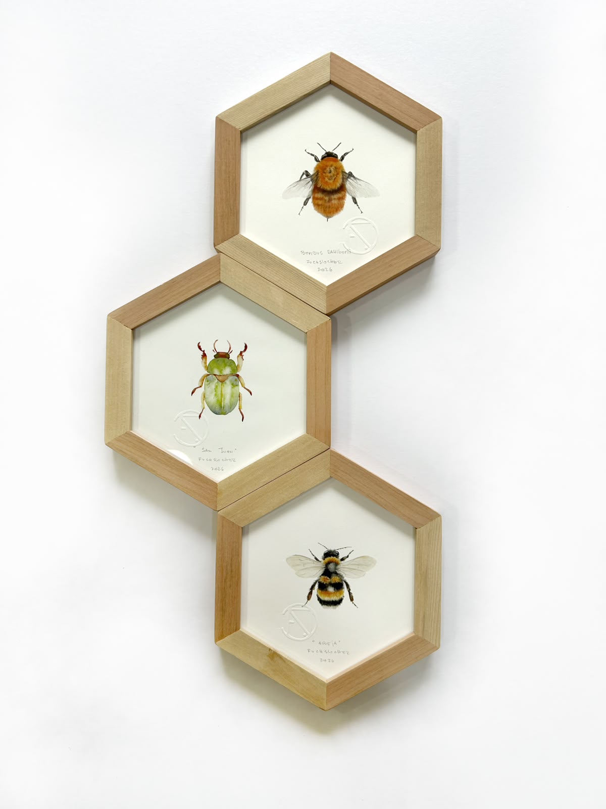 WhatsApp Image 2026-08-17 at 15.32.27 Set de 3 cuadros hexagonales en madera nativa - Imagen 1